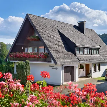 Unmuessig * Hinterzarten